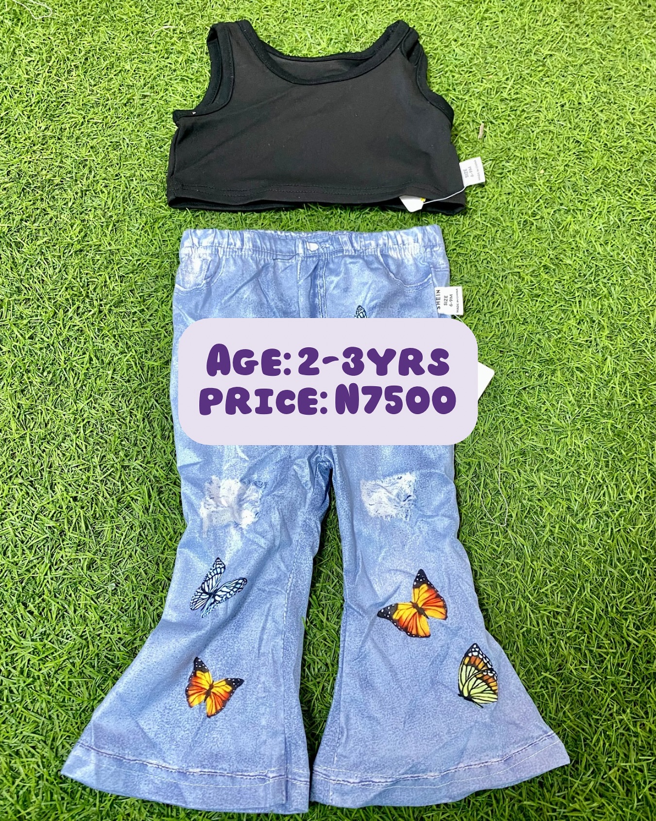 1ece7bca e2ad 4556 a01f bc5bcbb66aa7